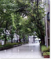 Science Plaza south entrance